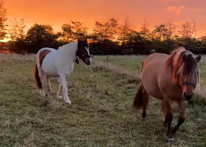 Semesterbostad Hyggelig Feriebolig Med Havudsigt